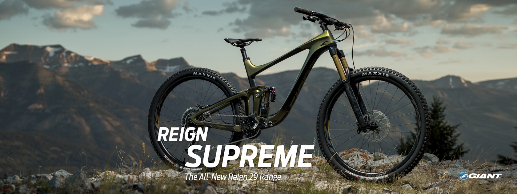 Reign 29er Banner