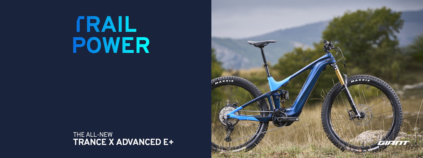 Trance X 29er Electric Banner