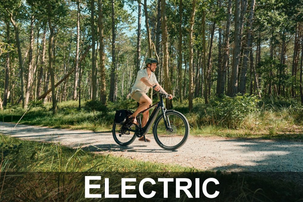 Category_Electric