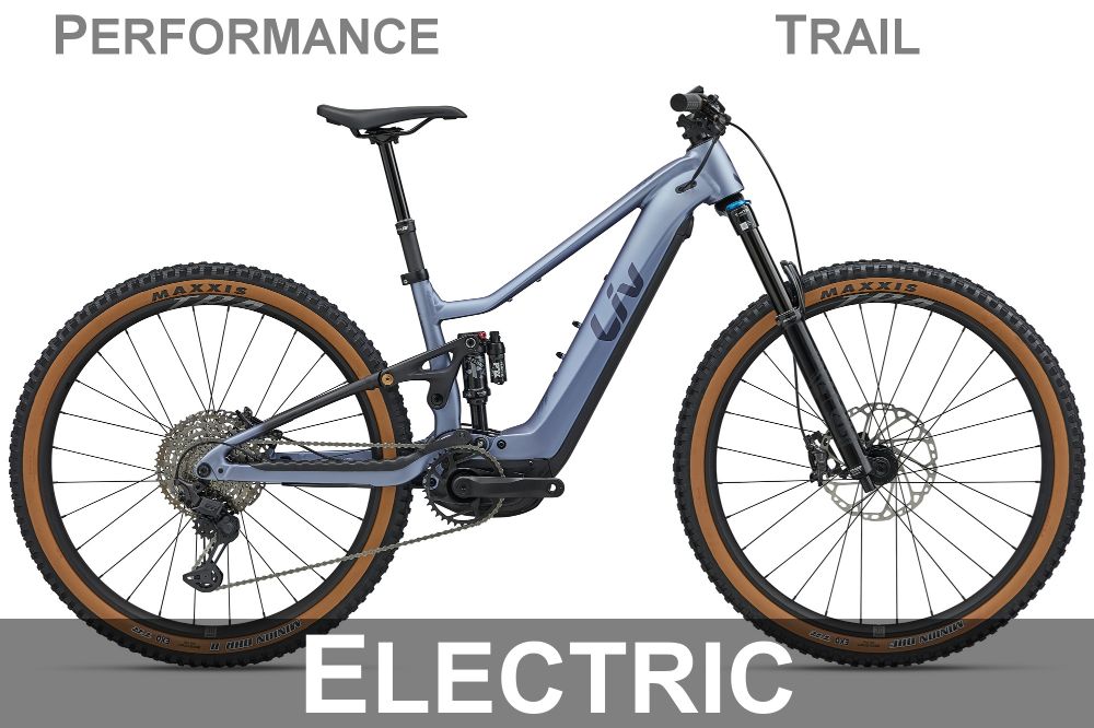 Category_WMTB_Elec