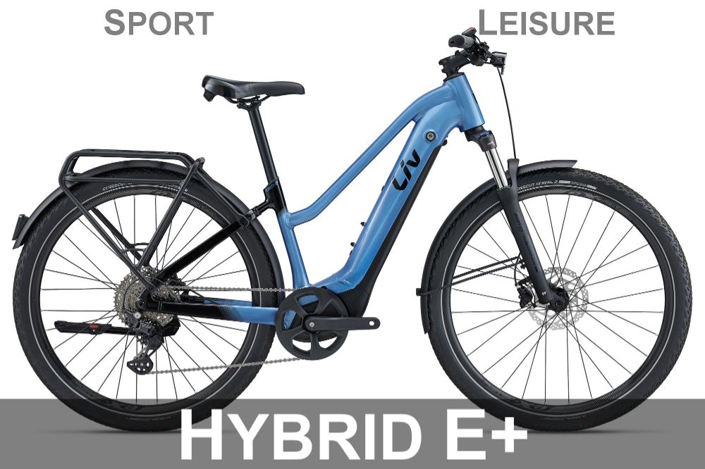 Category_W_Hyb_Elec