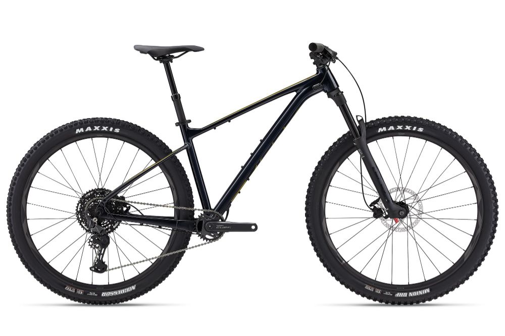 2024 Fathom 29er 2