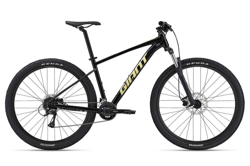 2024 Talon 29er 3