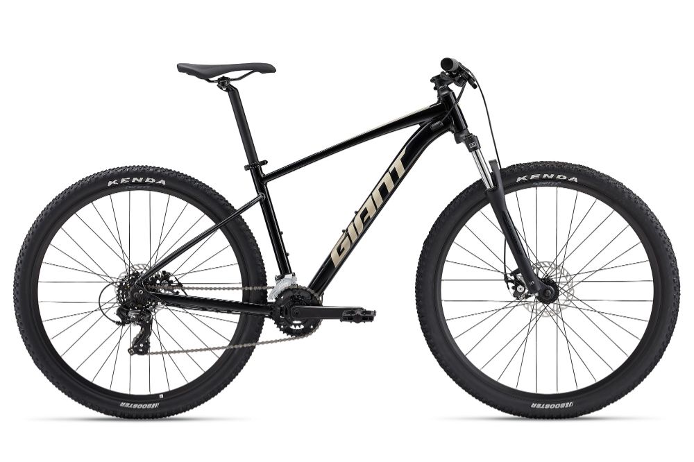 2024 Talon 29er 4