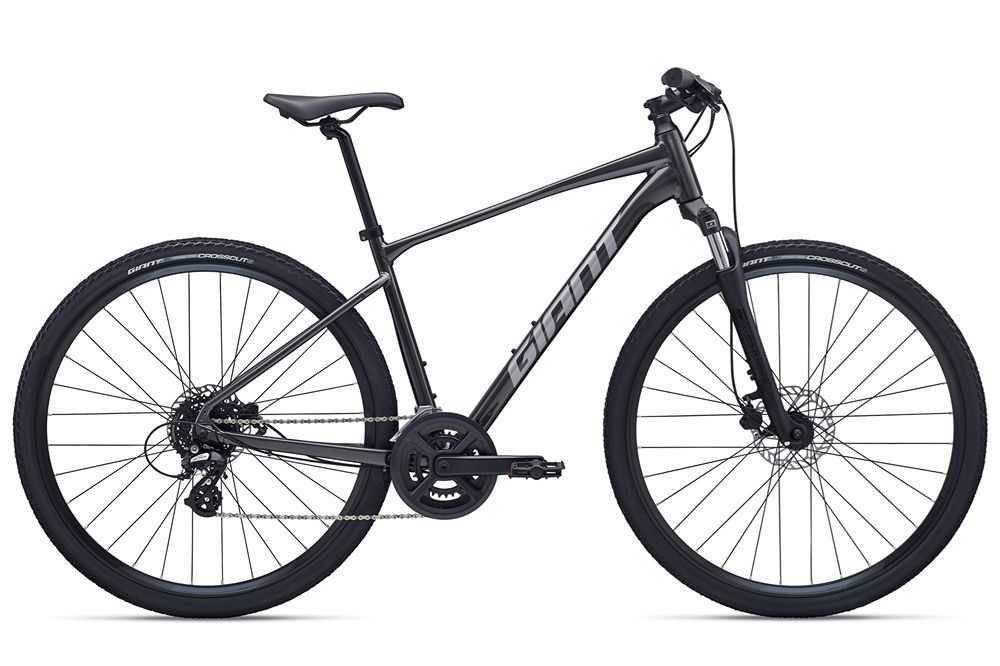 2026 Roam 4 Disc