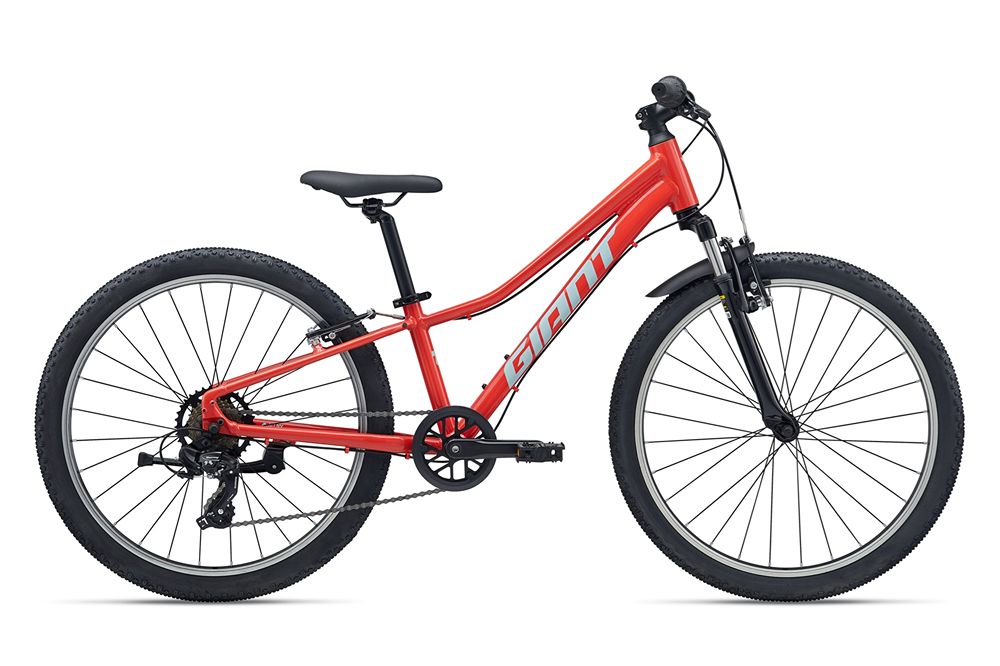 2026 Talon 24