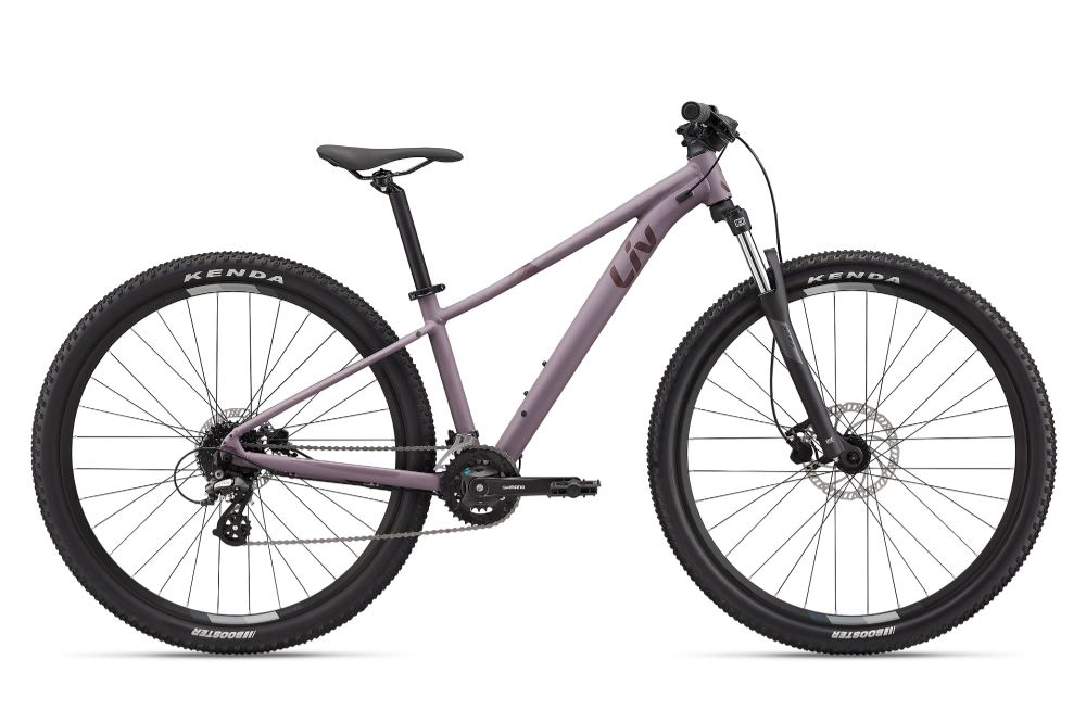 2023 Tempt 29er 3
