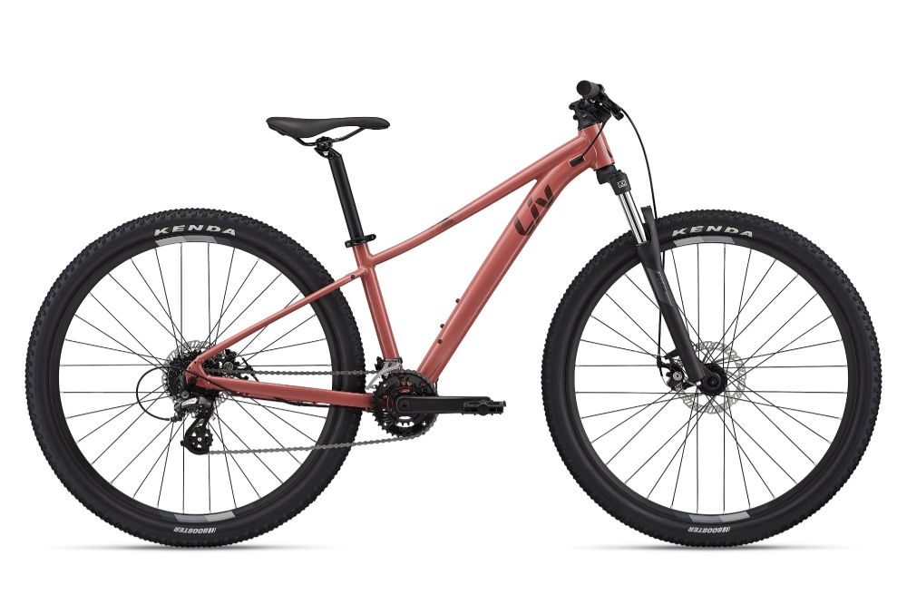 2023 Tempt 29er 4