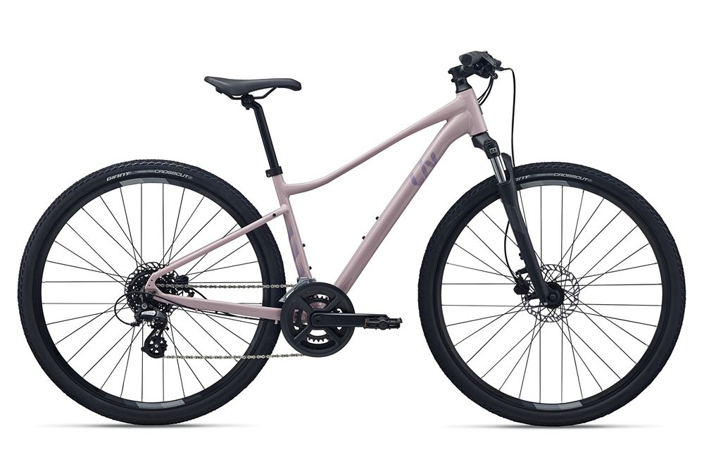 2026 Rove 4 Disc