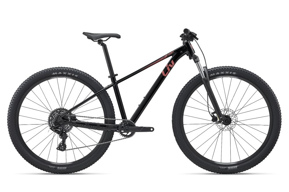 2027 Tempt 29er 4